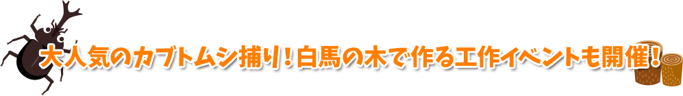 大人気のカブトムシ捕り!白馬の木で作る工作イベントも開催!